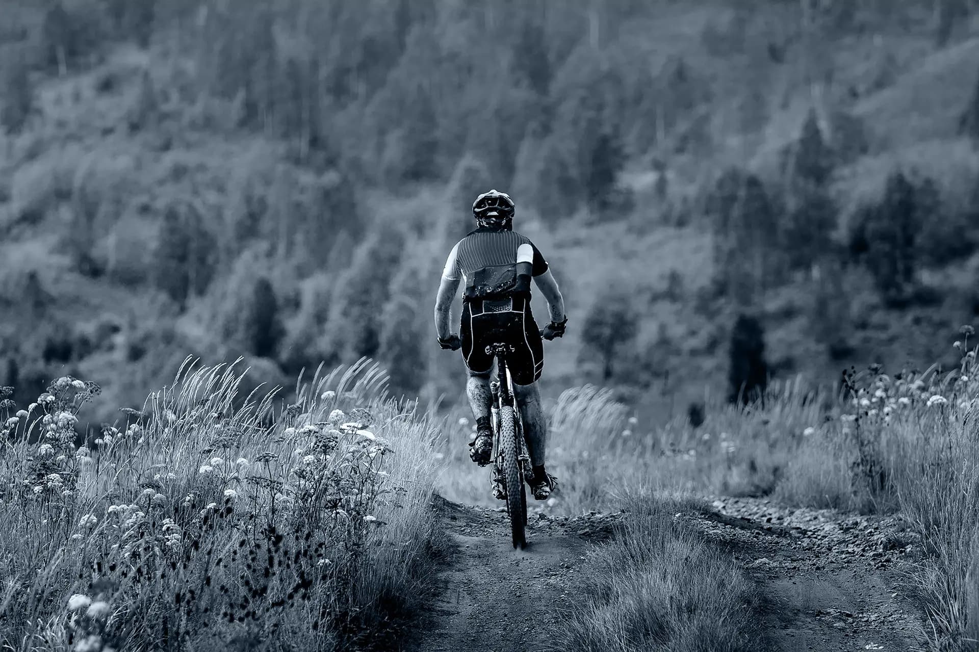Mountainbiker in de omgeving van Berghaus Seeblick
